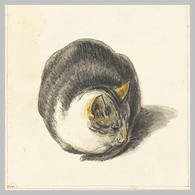 Seated Cat Seen from the Front Pieter Bartholomeusz. Barbiers 1782 1837 1