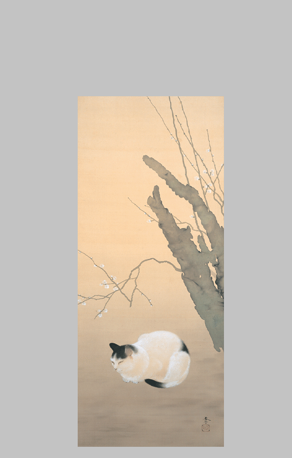 Shunso Cat and Plum Blossoms