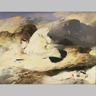 Sir Edwin Landseer, English - Ptarmigan in a Landscape