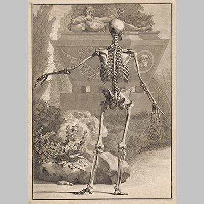 Jan Wandelaar - Skelet bij een graftombe (1747)