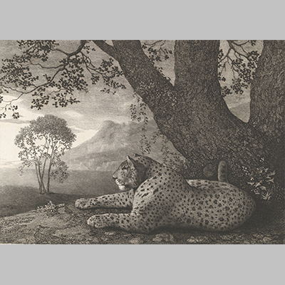 Stubbs---A Tyger (A Recumbent Leopard by a Tree)