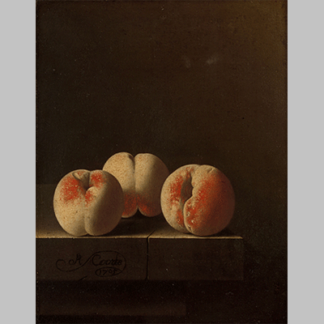 Three Peaches on a Stone Plinth Adriaen Coorte 1705