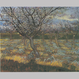 Van Gogh Almond Tree in Bloom