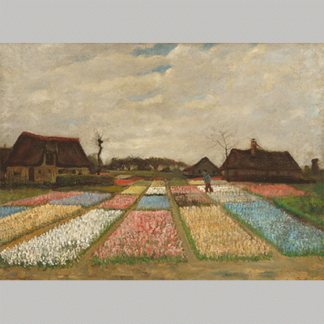 Van Gogh Bulb Fields