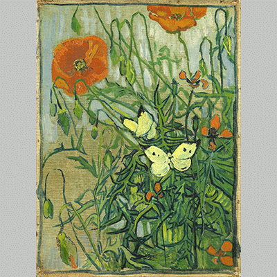 Van Gogh Butterflies and poppies