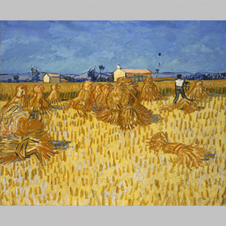 Van Gogh Corn Harvest in Provence