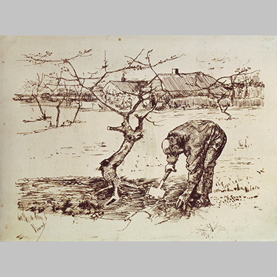 Van Gogh In the Orchard 1883