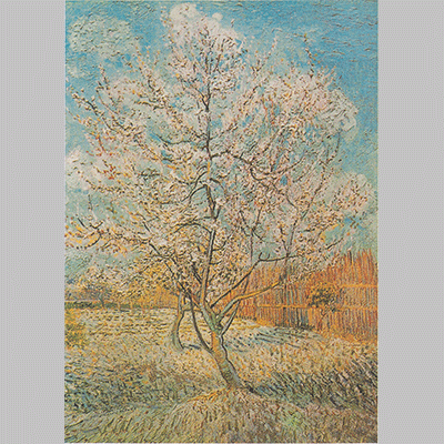 Van Gogh Peach Trees in Blossom