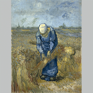 Van Gogh Peasant woman binding sheaves after Millet
