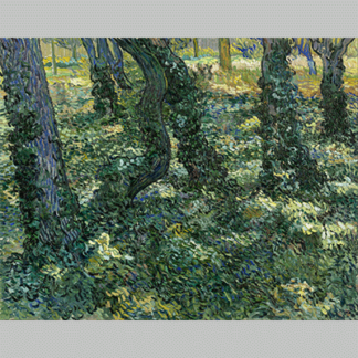 Van Gogh Undergrowth