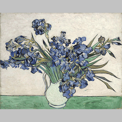 VanGogh Irises 2