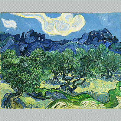 Van Gogh The Olive Trees.