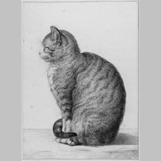 Zittende kat naar links Jean Bernard 1815