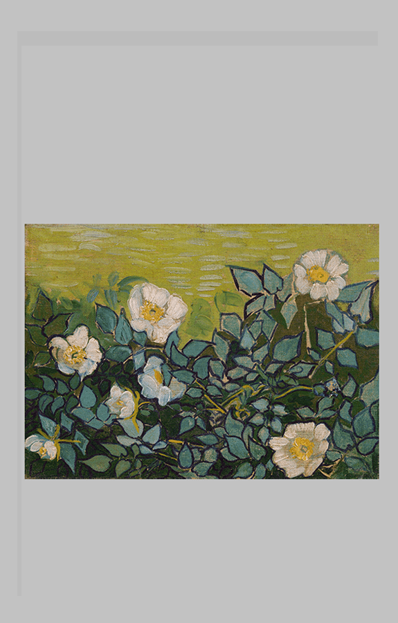 van Gogh Wild Roses ar wt