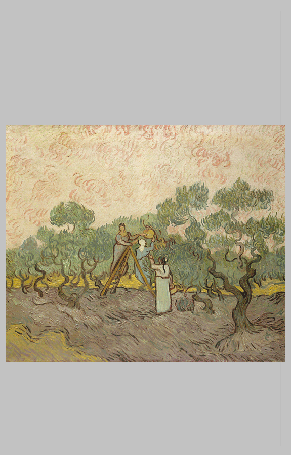 van Gogh Women picking olives 1889 sq